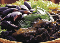 ���� �����ϴ� �������������� ���ַ��� ���̰͡� ���� �������..