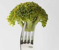 ��¥ ����� �Ǻ��س��� ������ݸ� �׽�Ʈ�� �ƽó���?