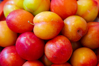 ‘이 과일’ 먹는 것만으로도 골밀도 유지… 뭐야?