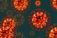 끝나지 않은 코로나 변이 공포 … "매미처럼 숨어있다가 나타났다"