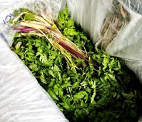 ���곪���� ��� ��ס� ��鿡 �־� �԰� ���� �����񡤱��䡯��..