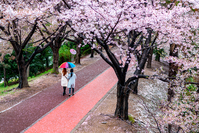 �� ���� ��å�ϸ� ���̰͡� ���� �� �ִ�