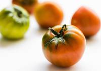 ‘짠맛’ 대저 토마토, 많이 먹으면 안 좋으려나?