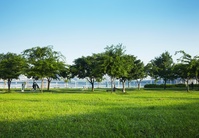 “풀밭 주의” 참진드기 증가… 치사율 18% SFTS, 예방이 최선