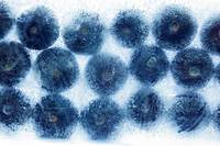 “매일 먹어도 좋다” 심장·뇌·장에 두루두루 이로운 ‘이 과일’