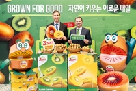 제스프리, 뉴질랜드에서 키운 프리미엄 키위 올해 국내 첫 출하