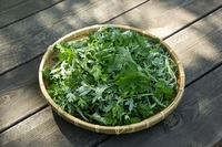 아파트 단지에서 캔 쑥과 냉이, 먹으면 안 되는 이유