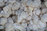 “혈당·체중 걱정될 때 먹어라”… 식감 좋은 ‘이 버섯’, 뭘까?