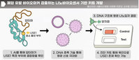 폐암 유발 단백질, 신속 검출 가능해진다