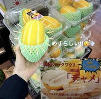 �Ϻ� �Ը� ������� �ѱ� ���ϡ� ��í�ޡ��� �ƽó���