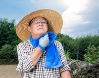 최고의 한방 해열제, 석고